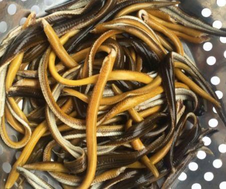 手撕盘龙鳝的做法视频,家常美味，轻松上手的烹饪教程