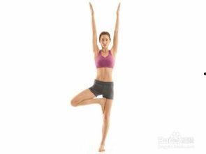 瑜伽减肥视频,轻松瘦身的视频教程