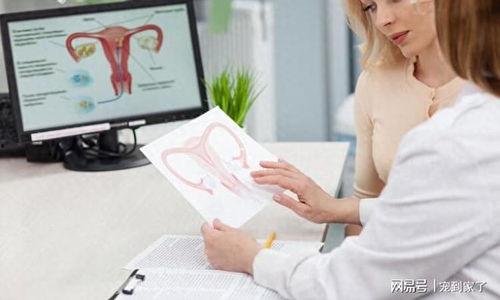 女人阴道镜视频,女性私密健康检查全解析