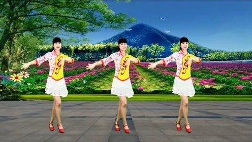 金凤凰广场舞视频,活力四射，舞动人生风采