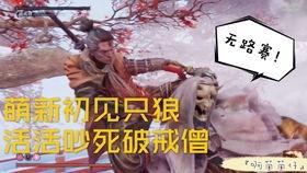 龙行剑法教学视频,剑走龙蛇，一招一式尽展中华武术风采