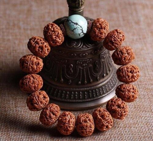 金刚菩提视频,探寻千年古树籽的神秘魅力