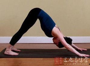 美背运动视频,跟随运动视频打造迷人背影