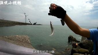 渔岵的视频,探寻海洋深处的神秘世界